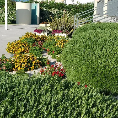 Giglio Di Mare Поликоро