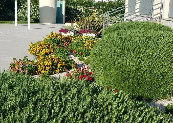 Giglio Di Mare Policoro